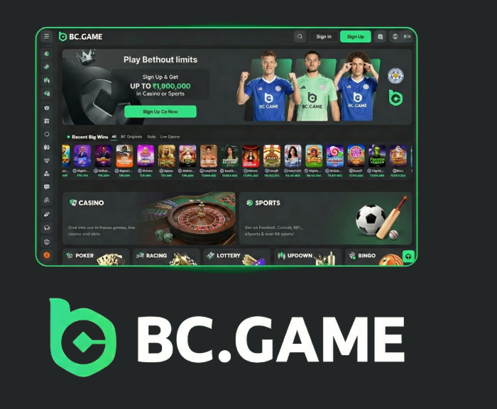Understanding BC.Game Mirror Links Accessing Your Favorite Casino Safely Understanding BC.Game Mirror Links Accessing Your Favorite Casino Safely